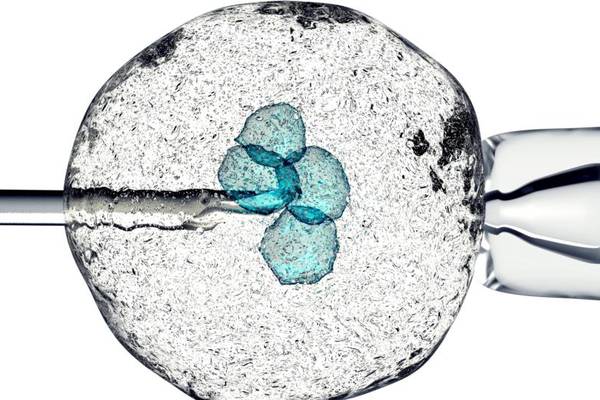 Gene editing in human embryos: Your questions answered