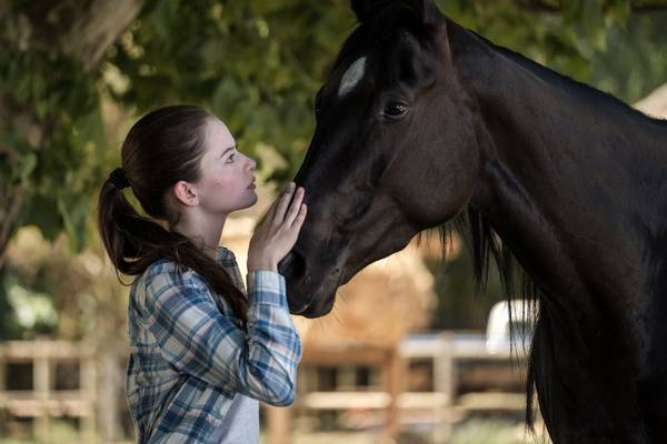 The Books Quiz: Black Beauty was translated from which language?