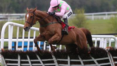Annie Power now favourite for Champion Hurdle after  Punchestown parade