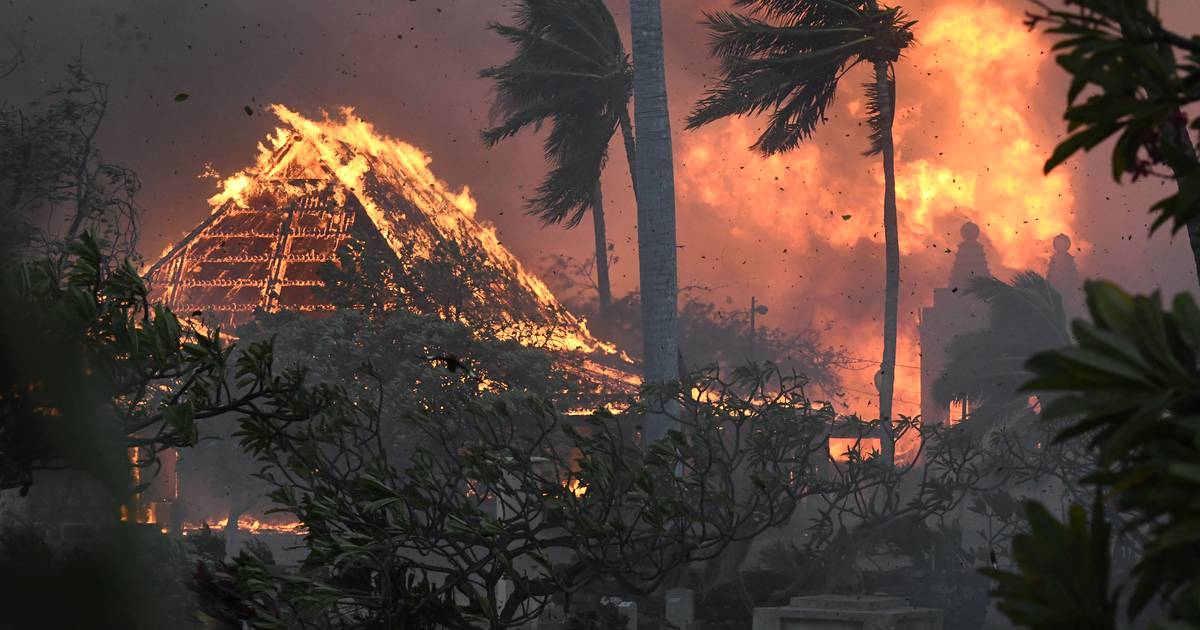Au moins 36 personnes ont été tuées dans un incendie qui a dévasté l’île de Maui – The Irish Times