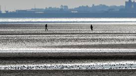 Building on Dublin Bay ‘could help the environment’
