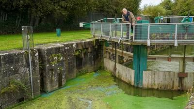 Friends of the Earth says contamination of Lough Neagh with blue green algae ‘inevitable’