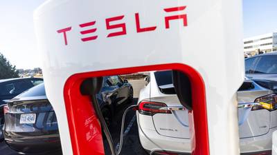 Tesla car sales plunge is an ‘unmitigated disaster’