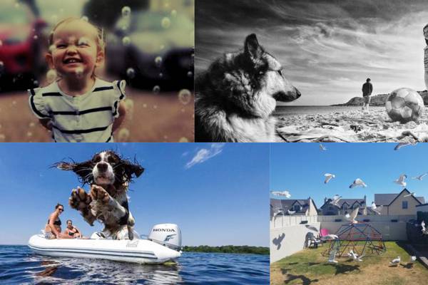 Summer photography competition: All your best entries from week one