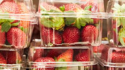 Public fears in Australia over needles concealed in strawberries