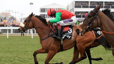 Nicholls leads home charge on day two at Cheltenham