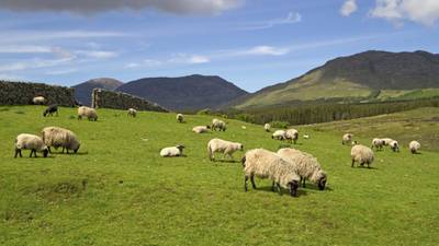 Price of farm land averaged €10,526 per acre last year according to survey