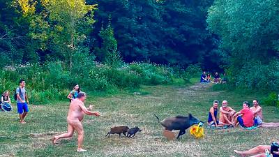 German nudist chases wild boar that stole laptop at Berlin lake