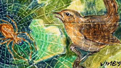 Another Life: Wren Boys herald tales of the tiny king of birds