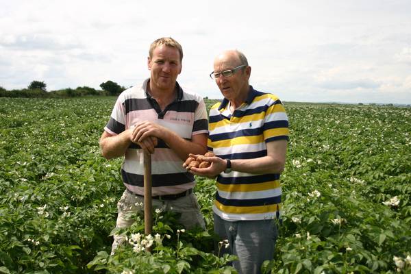 Future Proof:  Cork firm with passion for growing humble spud