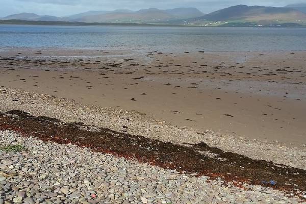 Bathing banned at Kerry beach after bacteria found in water