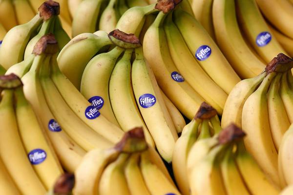 Fyffes gets over €180m equity injection from Japanese parent