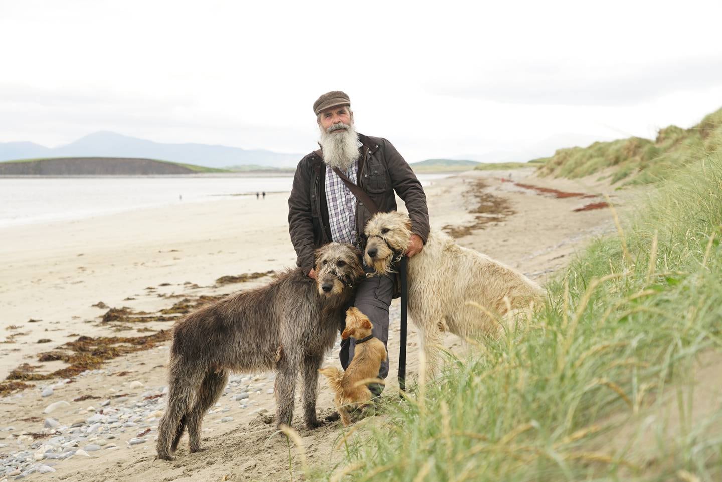 Pictures for an article by Keith Duggan on Aidan who walks the dogs as an AirBnB experience.