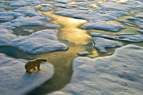 Patrick Smyth: ‘Big Oil’ a killer threat to Alaska’s wildlife