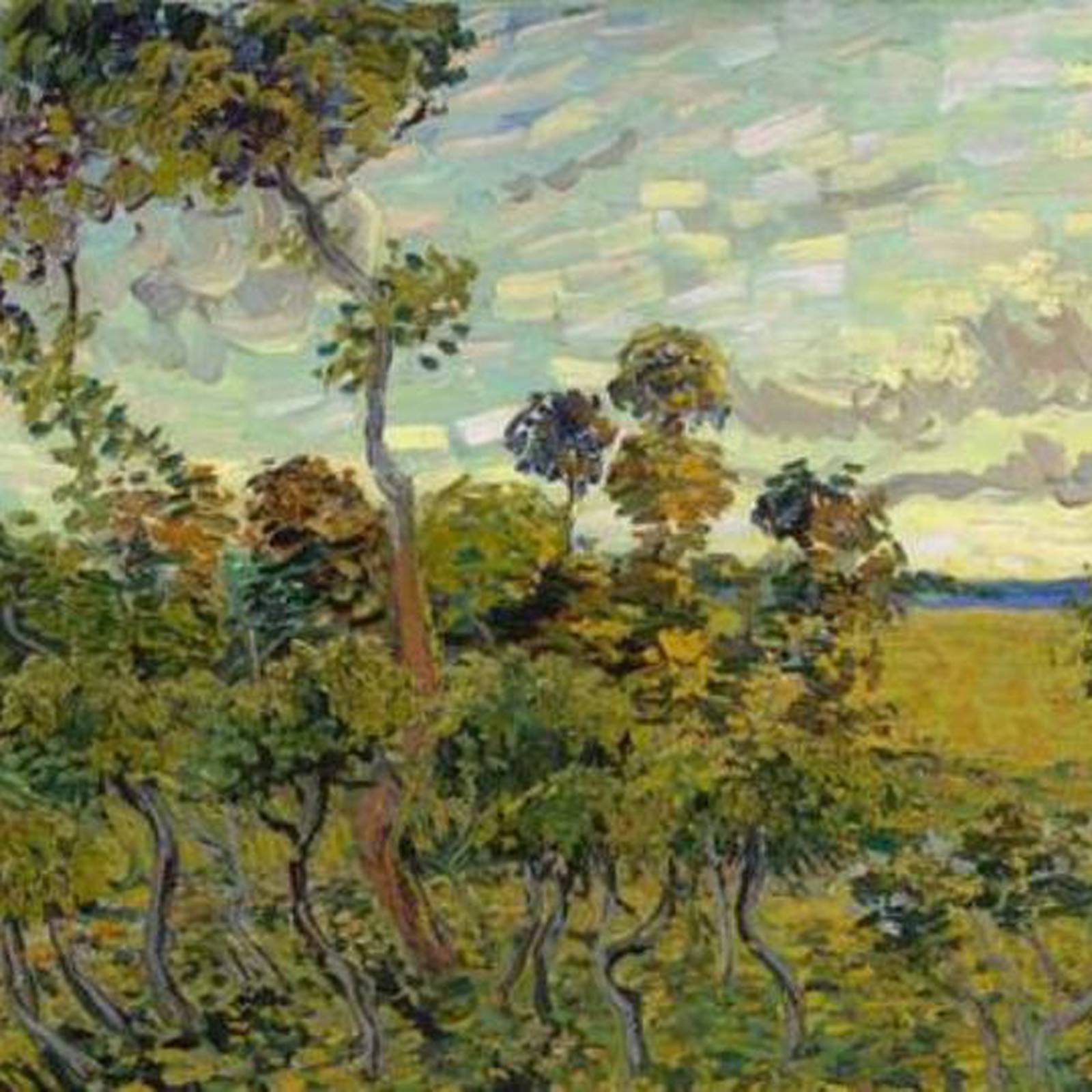 Long-lost Vincent van Gogh painting identified