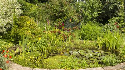 Reflect on nature in all its glory with a garden pond