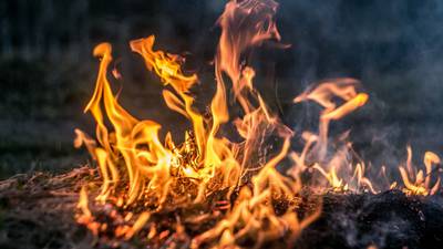 Galway bog fire a threat to endangered birds, Birdwatch Ireland warns