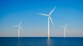 Seafood group calls for ‘proper’ assessment and planning in offshore wind energy in industry first
