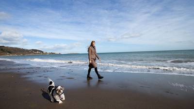 Sandy shores return to Killiney beach for first time in years