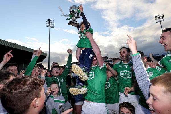 Limerick SHC Final: Kilmallock claim first crown in seven years