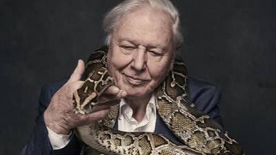 David Attenborough: The force of nature at 90