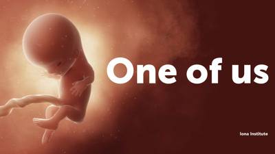 Iona Institute unveils billboard with image of unborn at 11 weeks