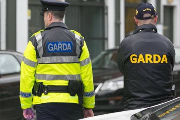 Dog shot dead in north Dublin, gardaí investigating