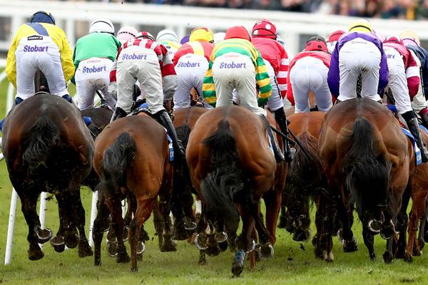 BHA set to drug test horses in Ireland ahead of British flat fixtures