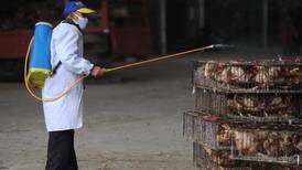 China culls birds as flu deaths rise to six