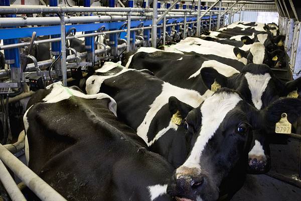 Irish start-up aims to cut emissions from dairy sector