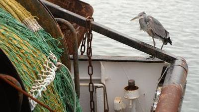 Penalty points for fishing vessel masters ‘unfair’, committee to be told