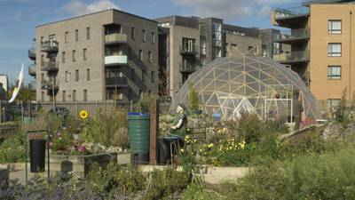 Flanagan’s Fields: An inner city garden with heart and history