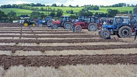 National Ploughing Championships: 300,000 expected  to descend on Co Laois