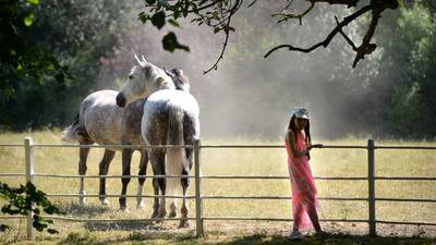 Record temperatures continue with 32 degrees recorded in Shannon