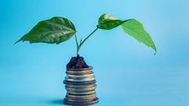 Sustainable investment not just a case of virtue being its own reward