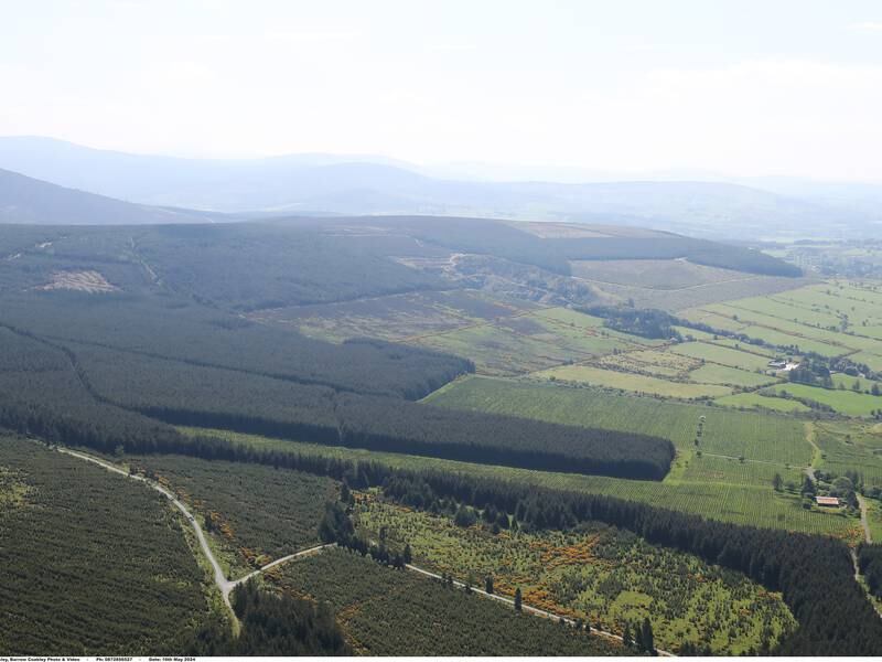 Forestry portfolio offers opportunity for long-term growth at €7m