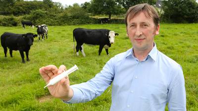 Galway game-changer in fight against antibiotic resistance