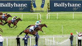 Sacred Bridge set to take Curragh course towards shot at Group One glory