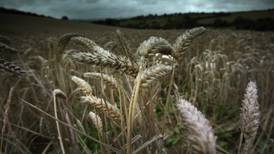 Agricultural greenhouse emissions ‘may be underestimated’