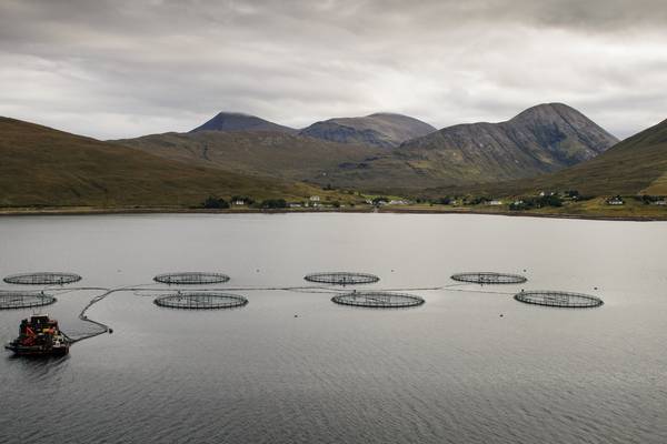 Angling for Irish start-ups changing Ireland's fishing sector