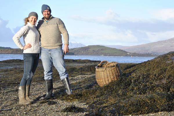 West Cork-made seaweed pesto packs a superfood punch