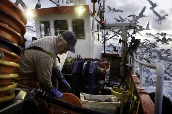 Minister welcomes 8% rise in value of whitefish quotas for Irish fleet