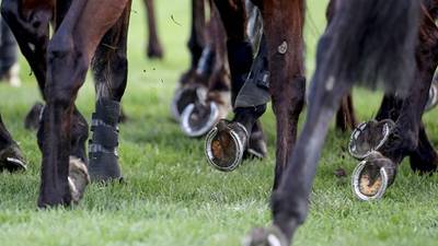 Former horse racing trainer convicted of assaulting farmer with a whip