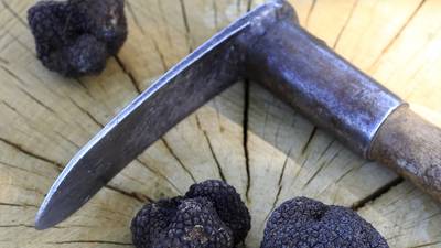 Truffles from Longford - yes, really
