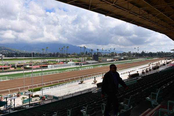 Baffled Santa Anita closes track after spike in racehorse fatalities