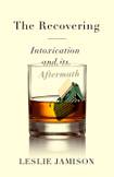 The Recovering: Intoxication and its Aftermath