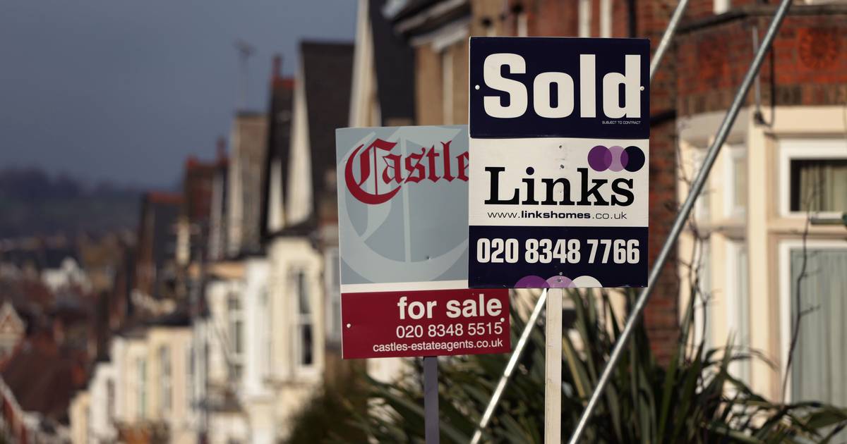 Дэйви говорит, что рынок жилья «приходит в норму» после пандемии – The Irish Times