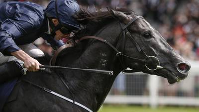 Caravaggio set to skip Haydock in favour of Flying Five Stakes