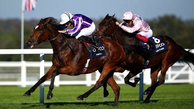 Aidan O’Brien has some Magical thinking for Breeders’ Cup Turf