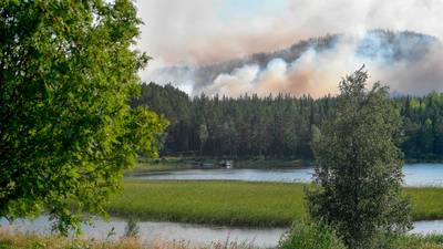 Sweden calls for help as Arctic Circle hit by wildfires